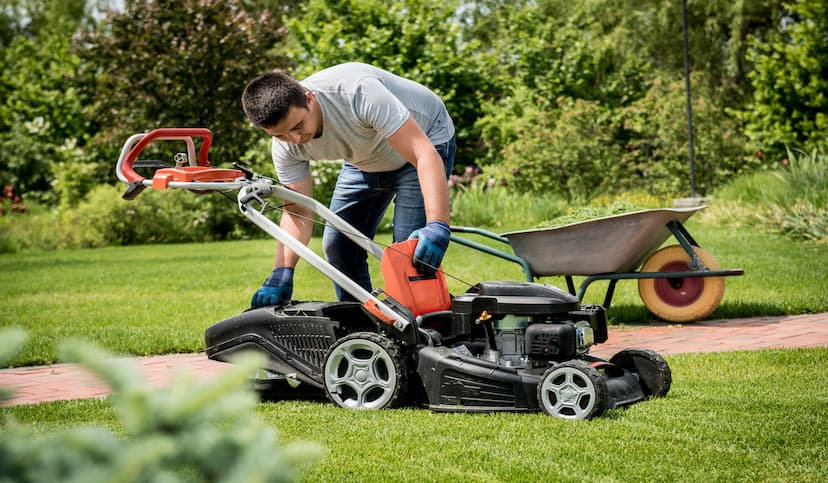 10 Best Software Tools for Lawn Care Businesses