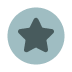 Google Review Icon