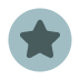 Google Review Icon